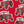 Furrow & Fields Boxer Briefs Massey Ferguson 188 Big Print Boxer Briefs – Red Quality Farmers Merch
