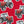 Furrow & Fields Boxer Briefs Massey Ferguson 390T Big Print Boxer Briefs – Red Quality Farmers Merch