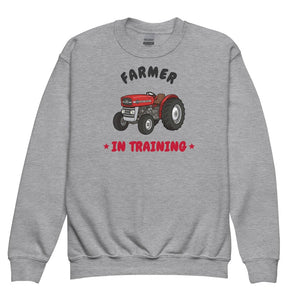 Furrow & Fields Kids Premium Sweatshirt Sport Grey / XS Farmer in Training Massey Ferguson 135 | Kids Premium Sweatshirt Quality Farmers Merch