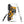 Furrow & Fields Tough case for Samsung® JCB 3CX Sitemaster Plus | Tough case for Samsung® Quality Farmers Merch