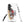 Furrow & Fields Tough case for Samsung® Massey Ferguson 6255 Watercolor | Tough case for Samsung® Quality Farmers Merch