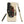 The Tractor Mugs Store Samsung Galaxy S22 Plus McCormick MTX 150 Signature Edition Oil Painting | Tough case for Samsung® Quality Farmers Merch
