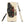 The Tractor Mugs Store Samsung Galaxy S25 Plus McCormick MTX 150 Signature Edition Oil Painting | Tough case for Samsung® Quality Farmers Merch